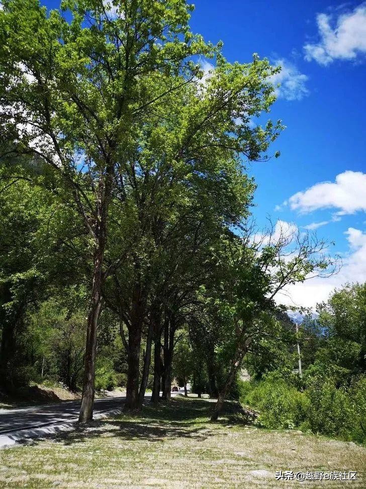 lc200陆巡4700中东版油箱多大,08年老款中东版陆巡4700二手市场