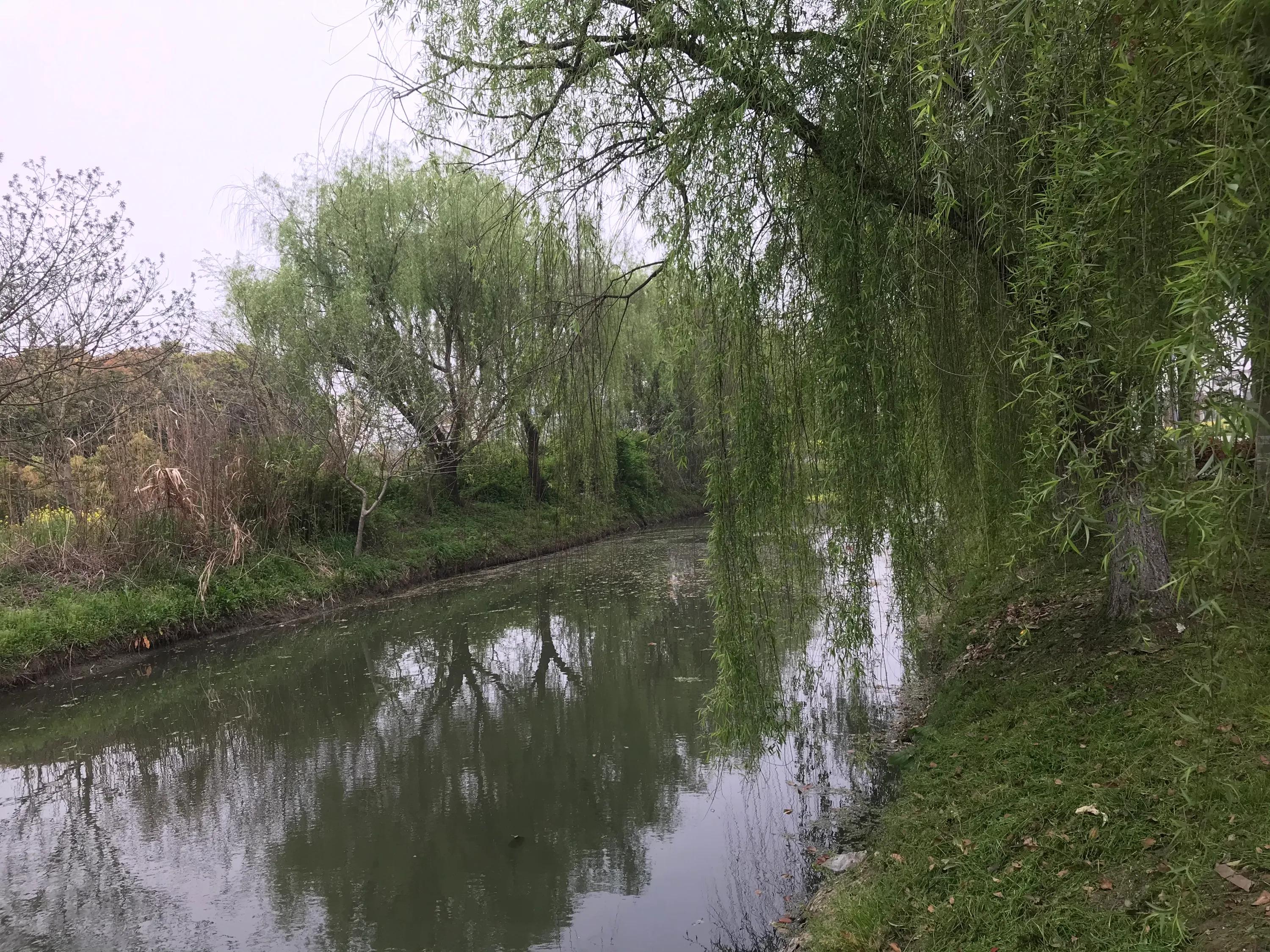 苏州吴江震泽八都,吴江区震泽八都贯桥社区