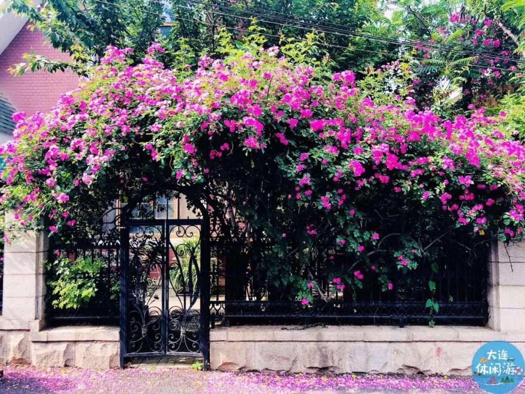 拍照圣地网红打卡大连,大连网红打卡地景点拍照