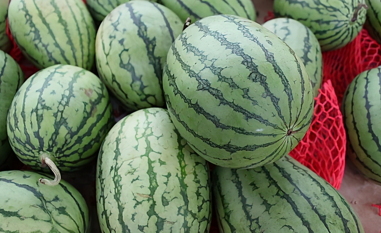 买西瓜拍一拍有用吗,买西瓜怎么挑又甜又熟皮又薄