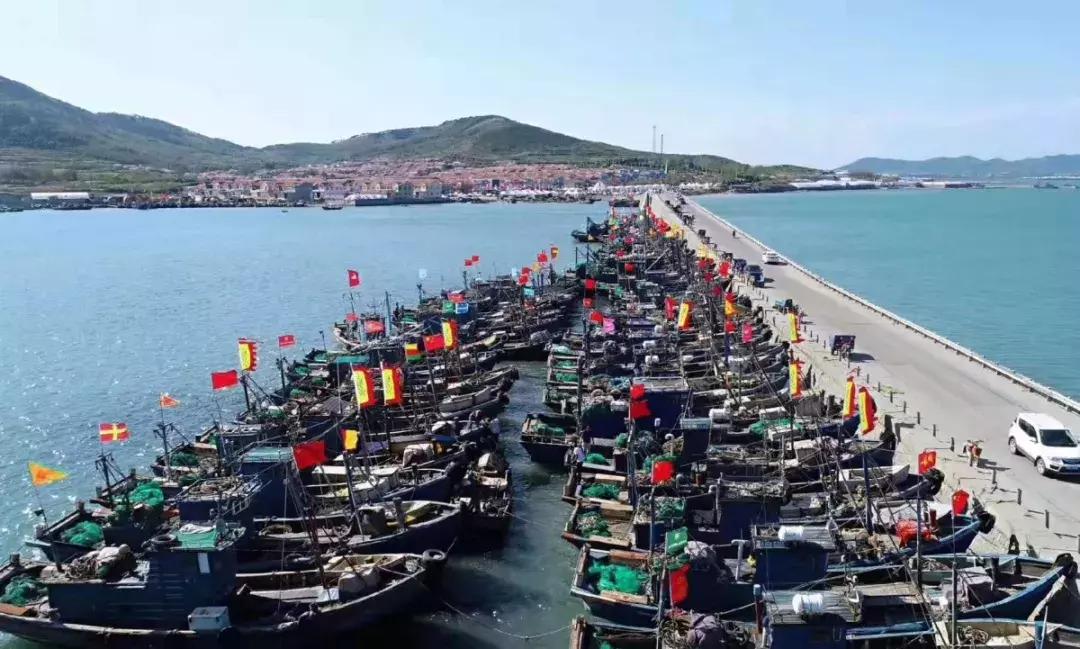 有一种炫富叫青岛开海啦,青岛炫富最新方式