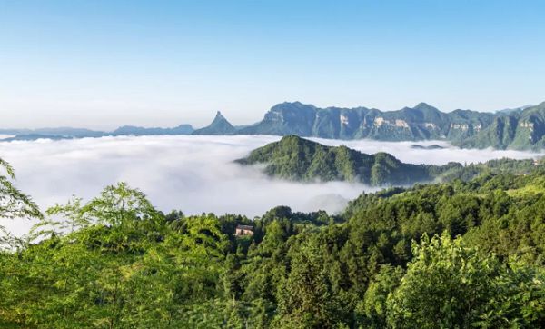 重庆人去哪里避暑最合适,重庆人适合出去避暑地方推荐