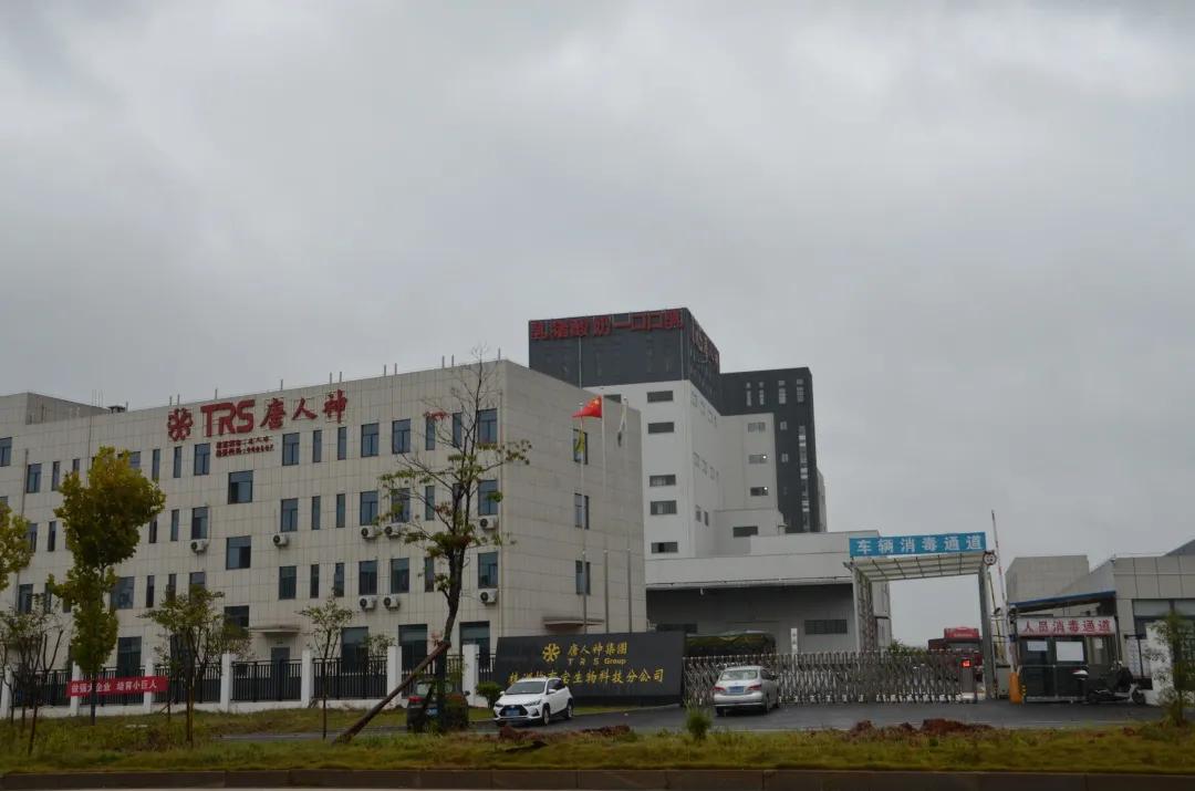 双桥镇唐人神骆驼饲料,唐人神集团骆驼饲料效果