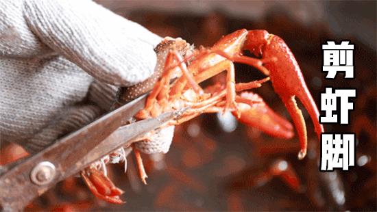 宜春潜江小龙虾,宜春潜江龙虾