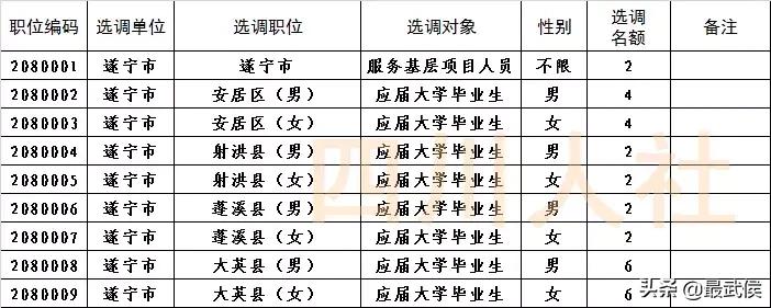 四川选调生2024公告职位表,四川选调生2024选调公告条件