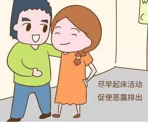 新手妈妈必备的护理知识,母狗产后护理三大禁忌