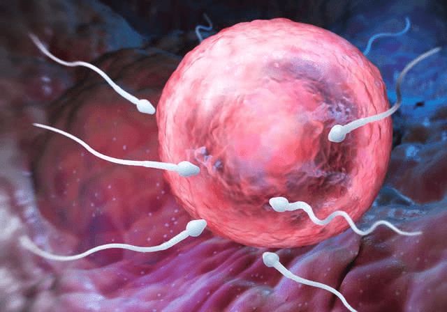 月经滴滴答总是不干净吃什么药,月经不顺畅稀稀拉拉十几天不干净