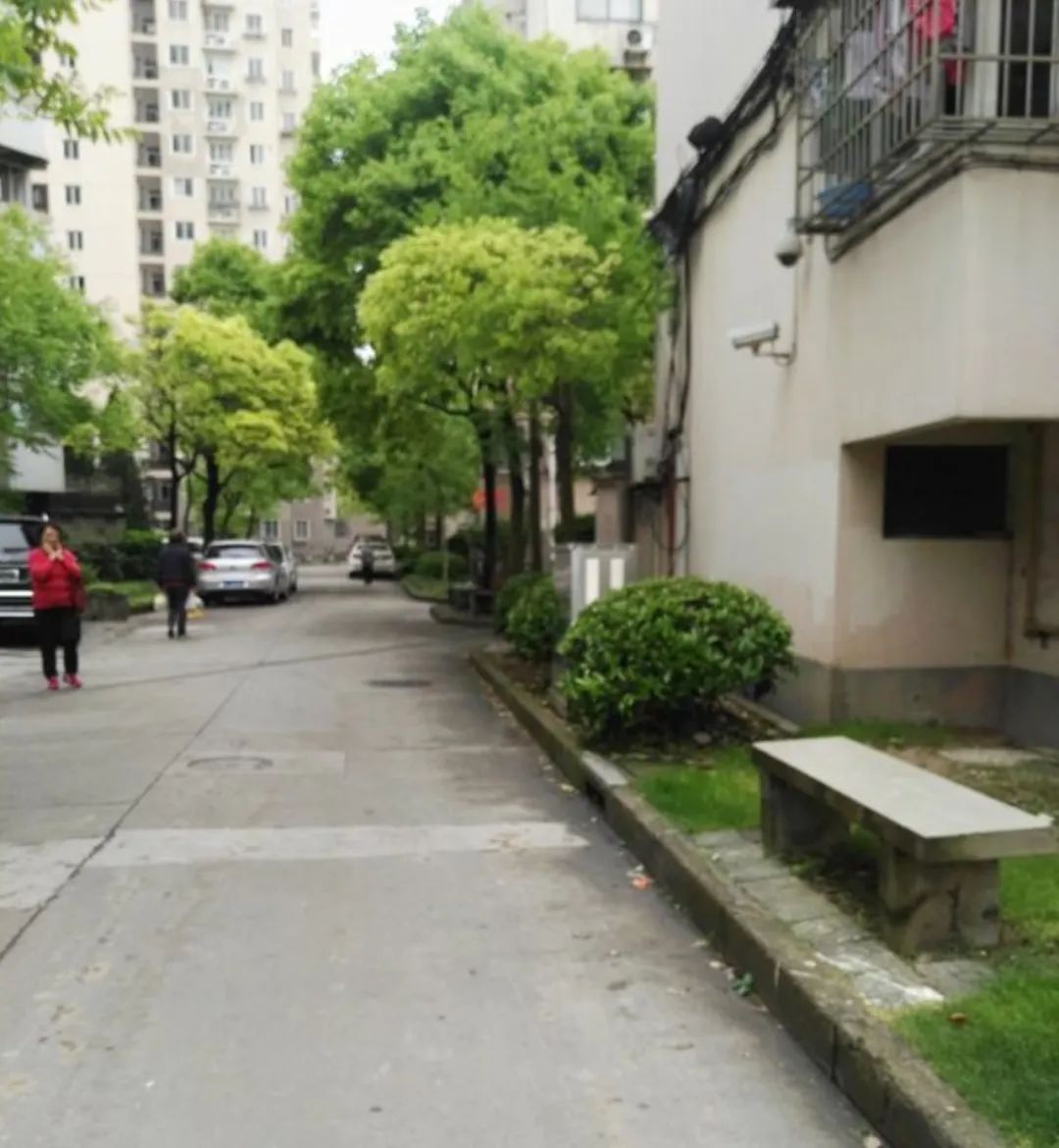 上海16个区热门中小学,上海各区重点小学入学条件