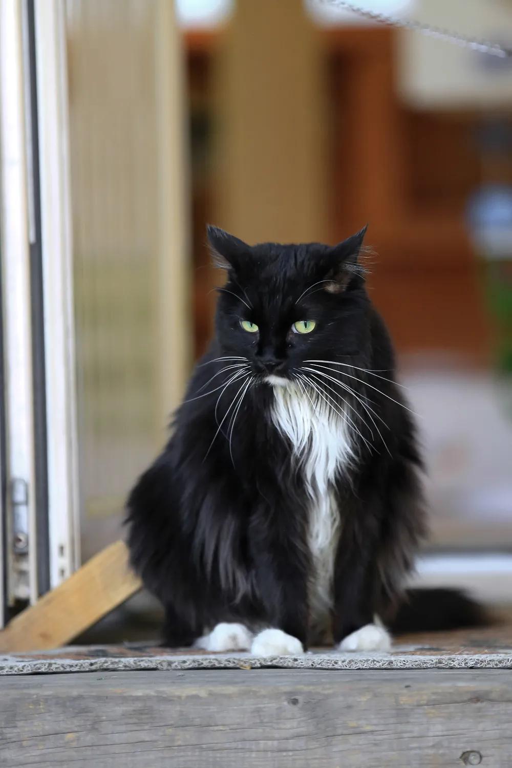 拼头条吗？好姐妹就要一起上啊