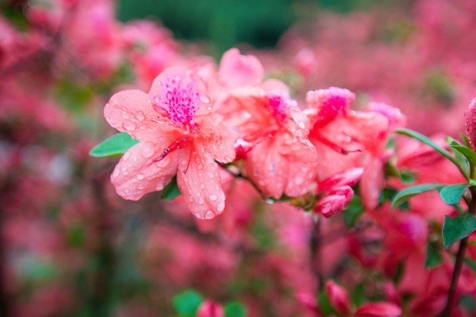 中国出国旅游英语,国内出国旅游英语