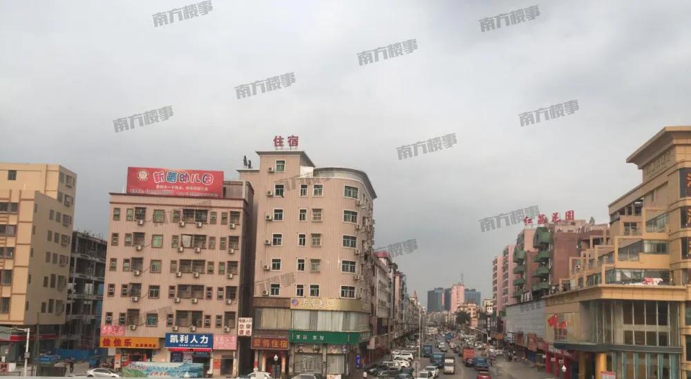 全程暴走!实探疯传的扩容临深区域凤岗+塘厦,到底值不值得买?