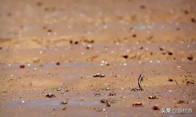 浙江人怎样吃海鲜,浙江吃海鲜很简单