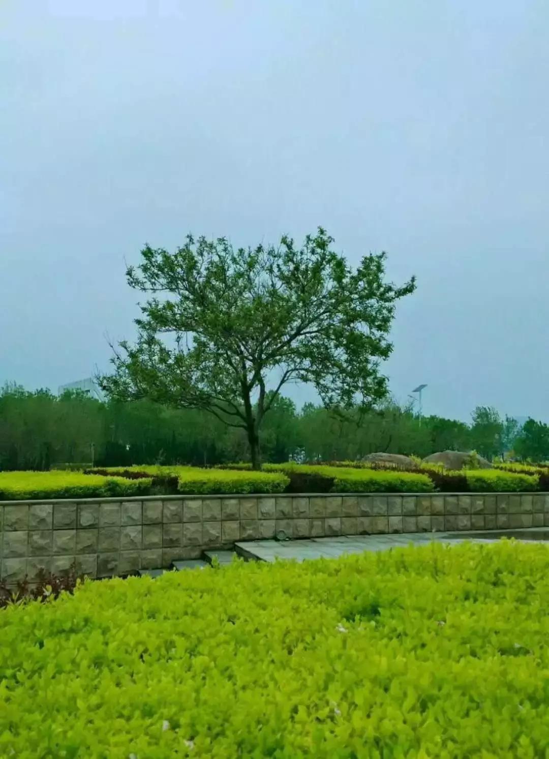 东营打工一般工资多少,东营微文化郝丽霞