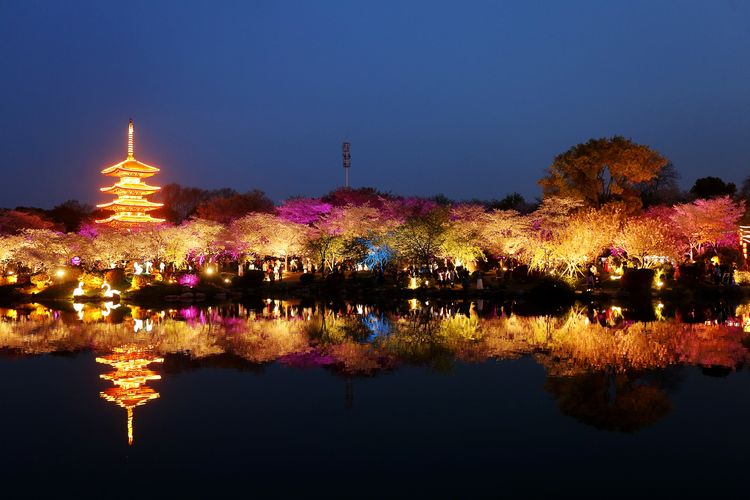 鑻遍泟褰掓潵妯辫姳鏈夌害,妯辫姳鐩涘紑鑻遍泟褰掓潵瀹屾暣瑙嗛