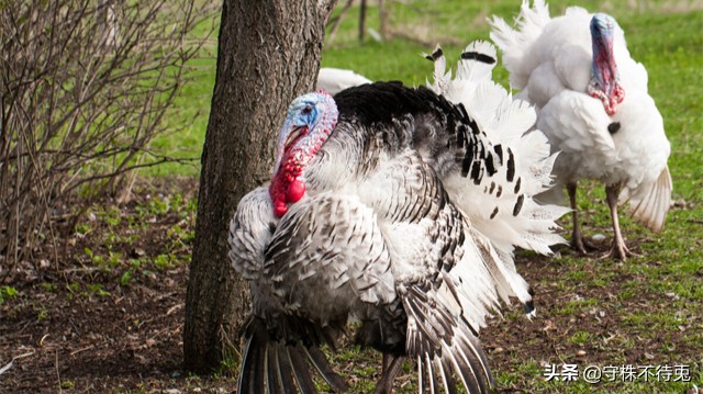 19个冷知识,19个冷知识分享