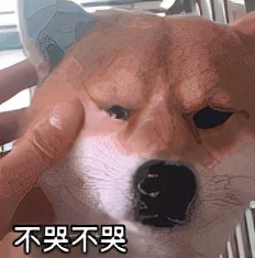 那些年留学生在海关被没收的东西,留学生被海关没收的东西