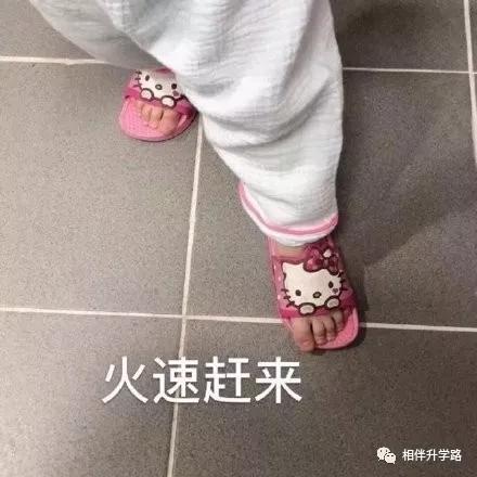 最顶尖新校来了！复旦、交大附属校落子闵行，集齐超一流小初高