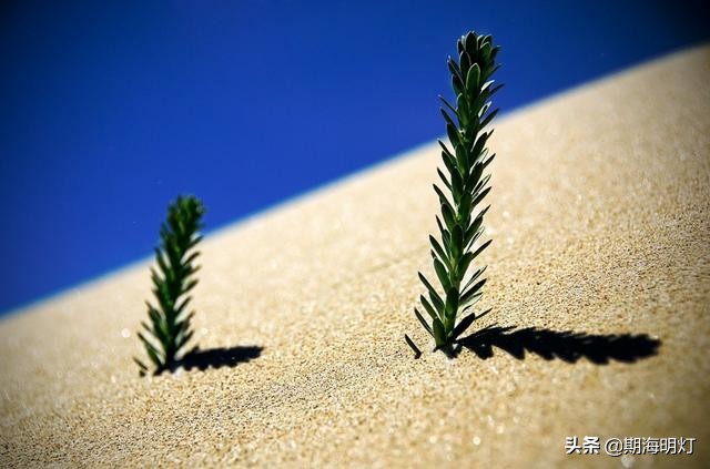 期货投资技巧,期货赚钱100个技巧