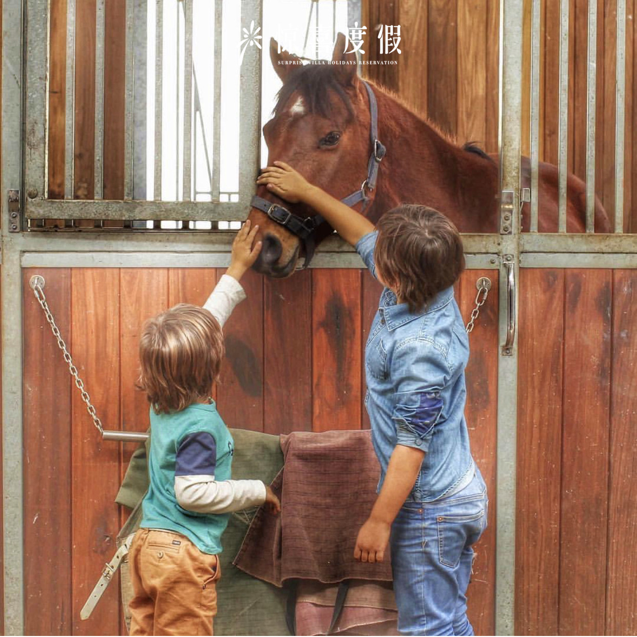 吸引无数好莱坞明星，遍布世界各地的OneOnly,怎么选才最亲子