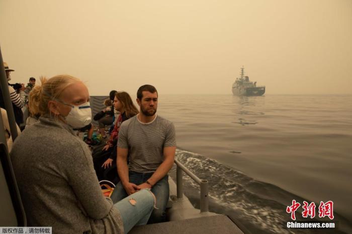 澳大利亚山火导致多少动物死亡,澳洲山火肆虐无数动物被烧死