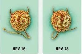HPV阳性不治疗它会不会自己转阴,31hpv阳性要治疗不