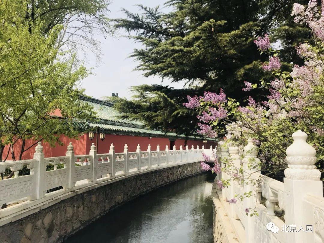 皇家园林北京,北京皇家园林占地