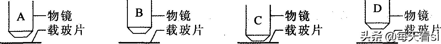 高中生物必修一试卷解析,高中必修一生物试卷