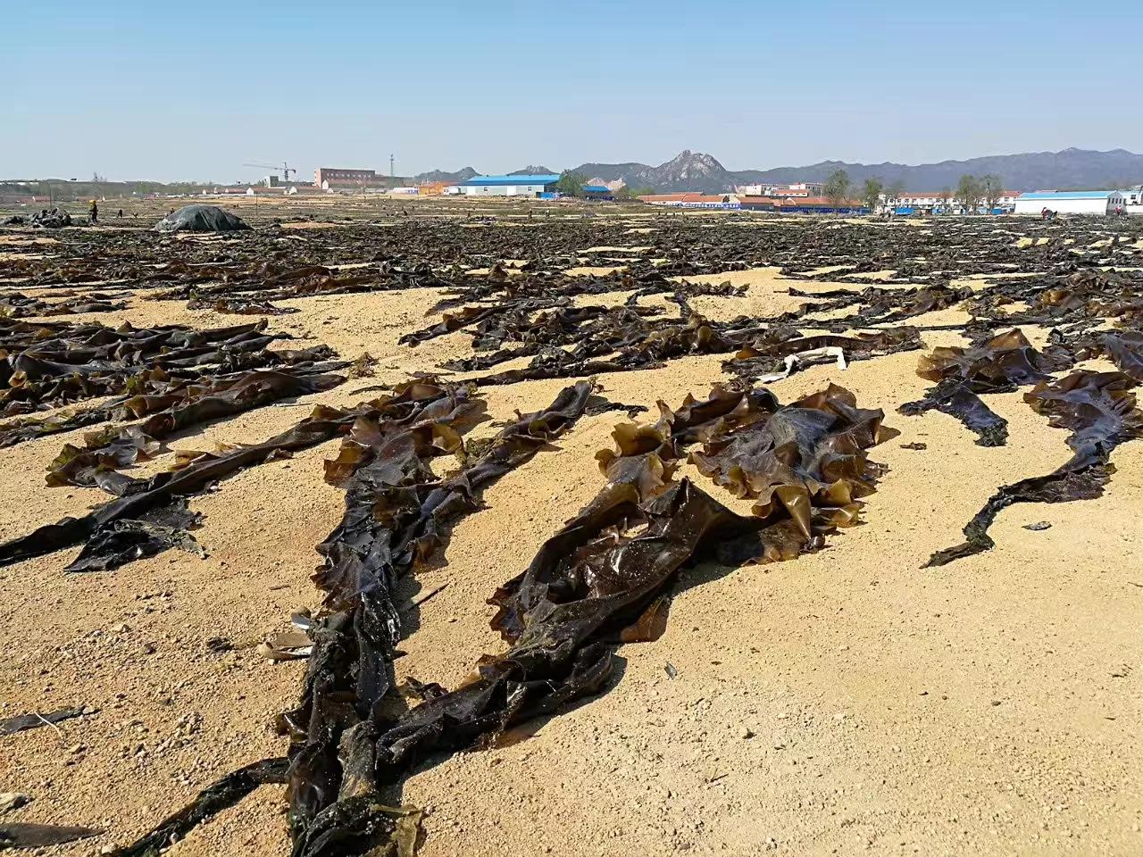 山东荣成定居好不好,外地人荣成落户条件