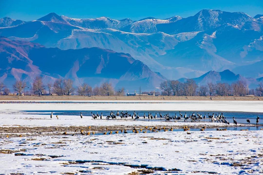 藏在日常生活中的幸福,生活在西藏是不是很幸福