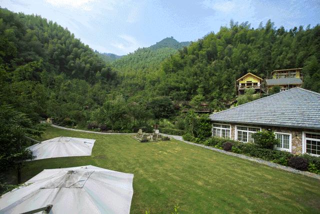 为一姑娘,10年他把30亩荒地打造成梦想家园,让人懂得真爱的意义