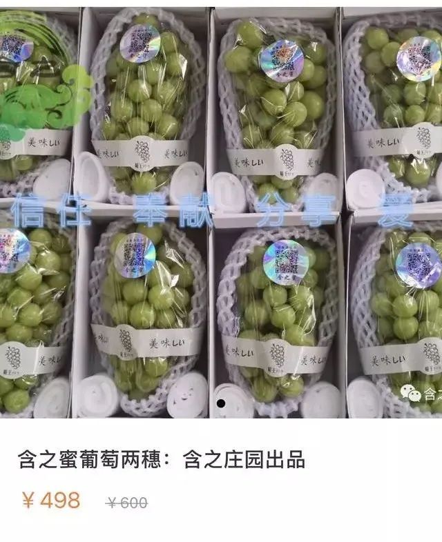 阳光玫瑰网红水果,阳光玫瑰水果视频