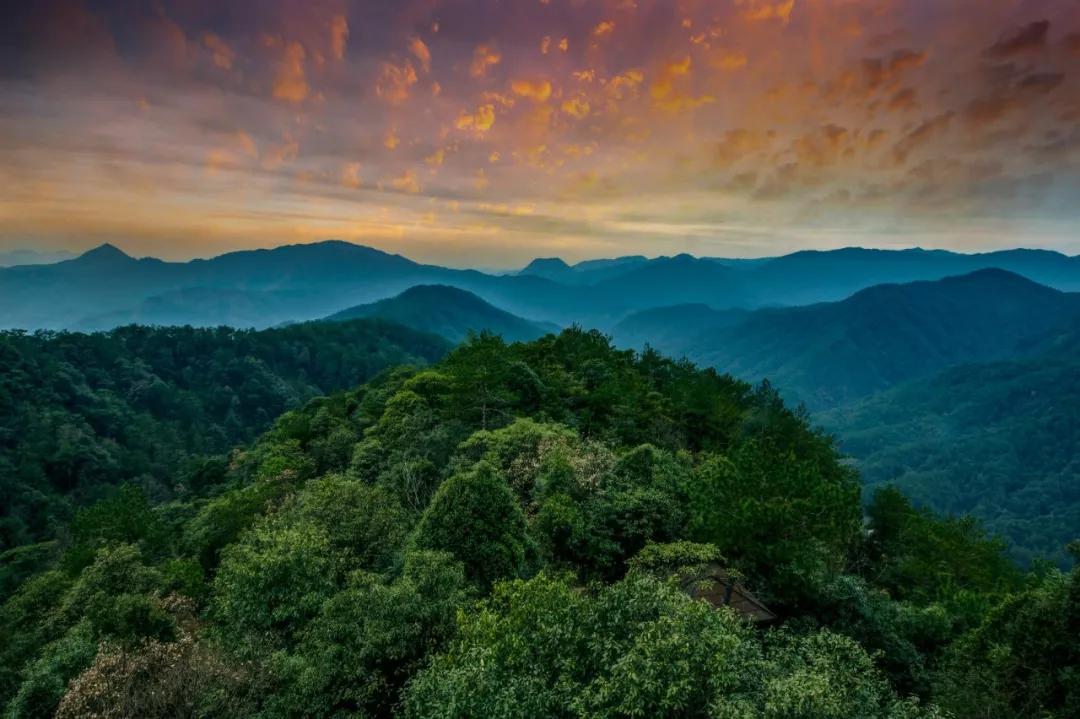 马云去的江西小镇,马云在浙江几个小镇