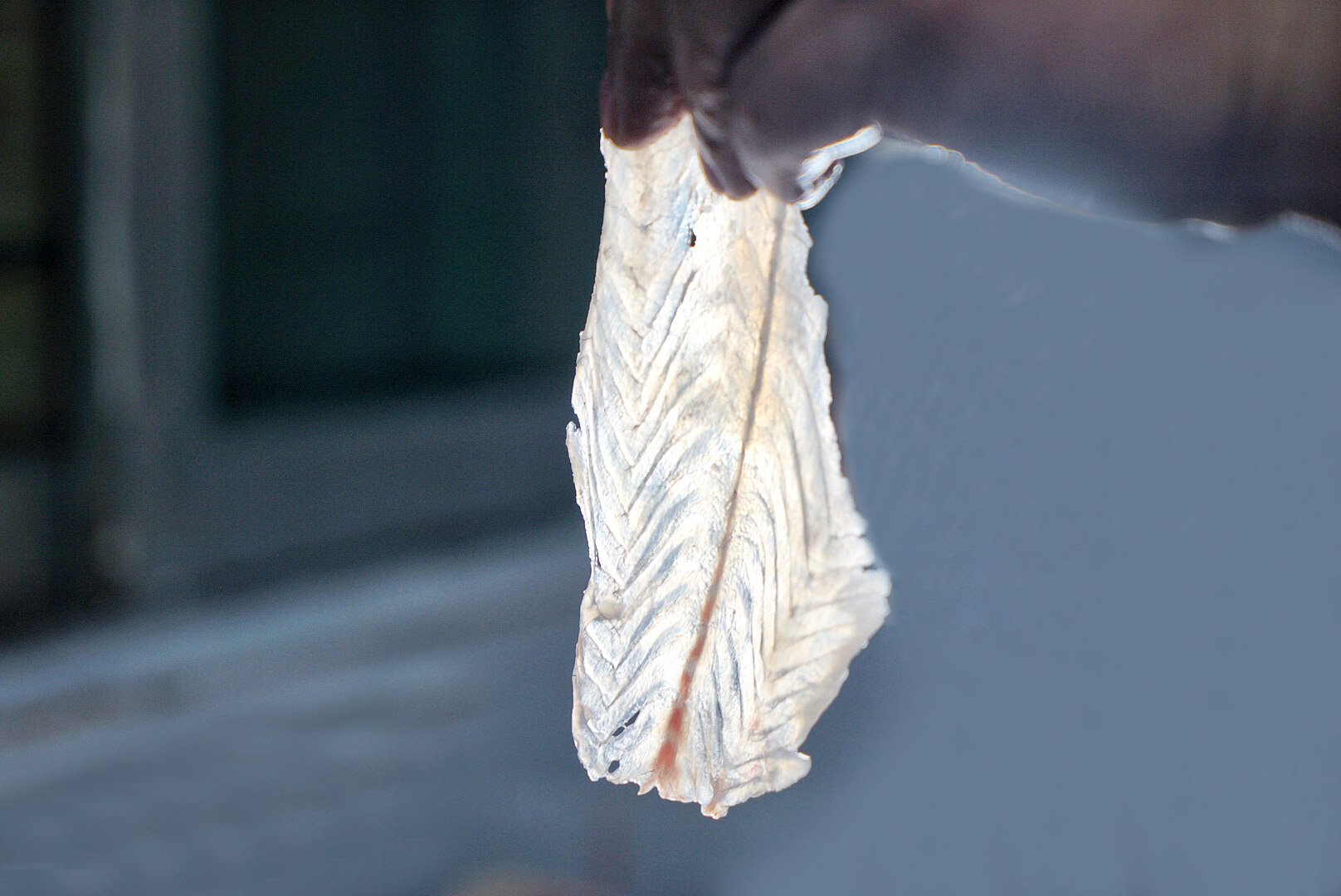 花都首家大理酸菜鱼专门店,云南空运酸菜,活鱼现煮,酸辣好过瘾