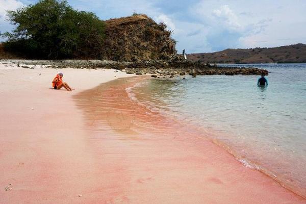 印度洋海岛国塞舌尔自由行是个什么样的体验?