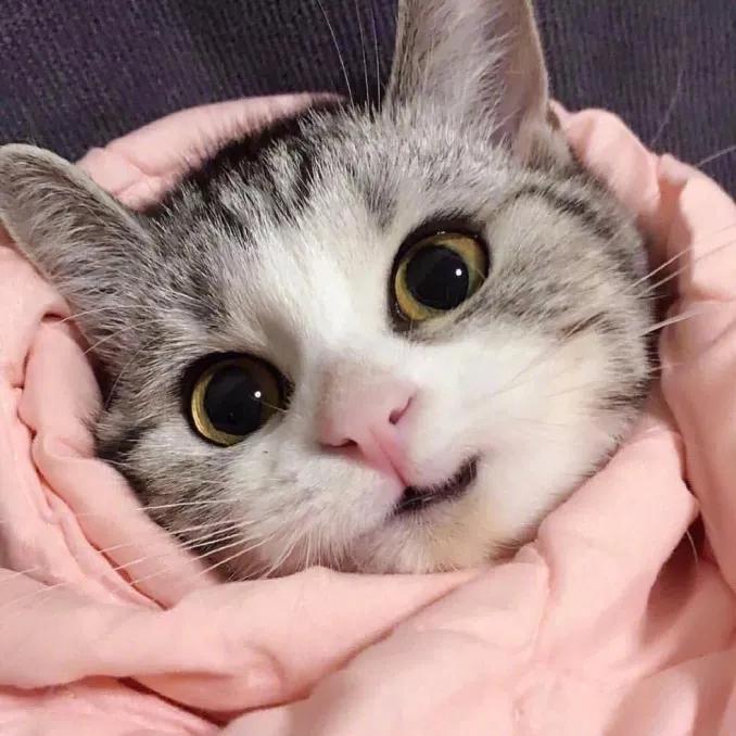 今年最火的抖音头像,抖音最火头像最新