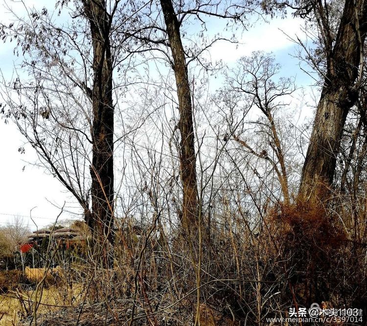 在路上之南迦巴瓦,在路上之川西美景