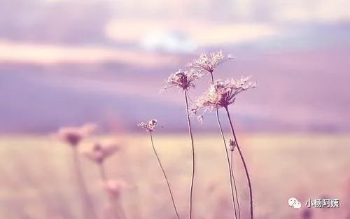 自媒体个人号怎么吸引粉丝,个人公众号前期怎么吸粉