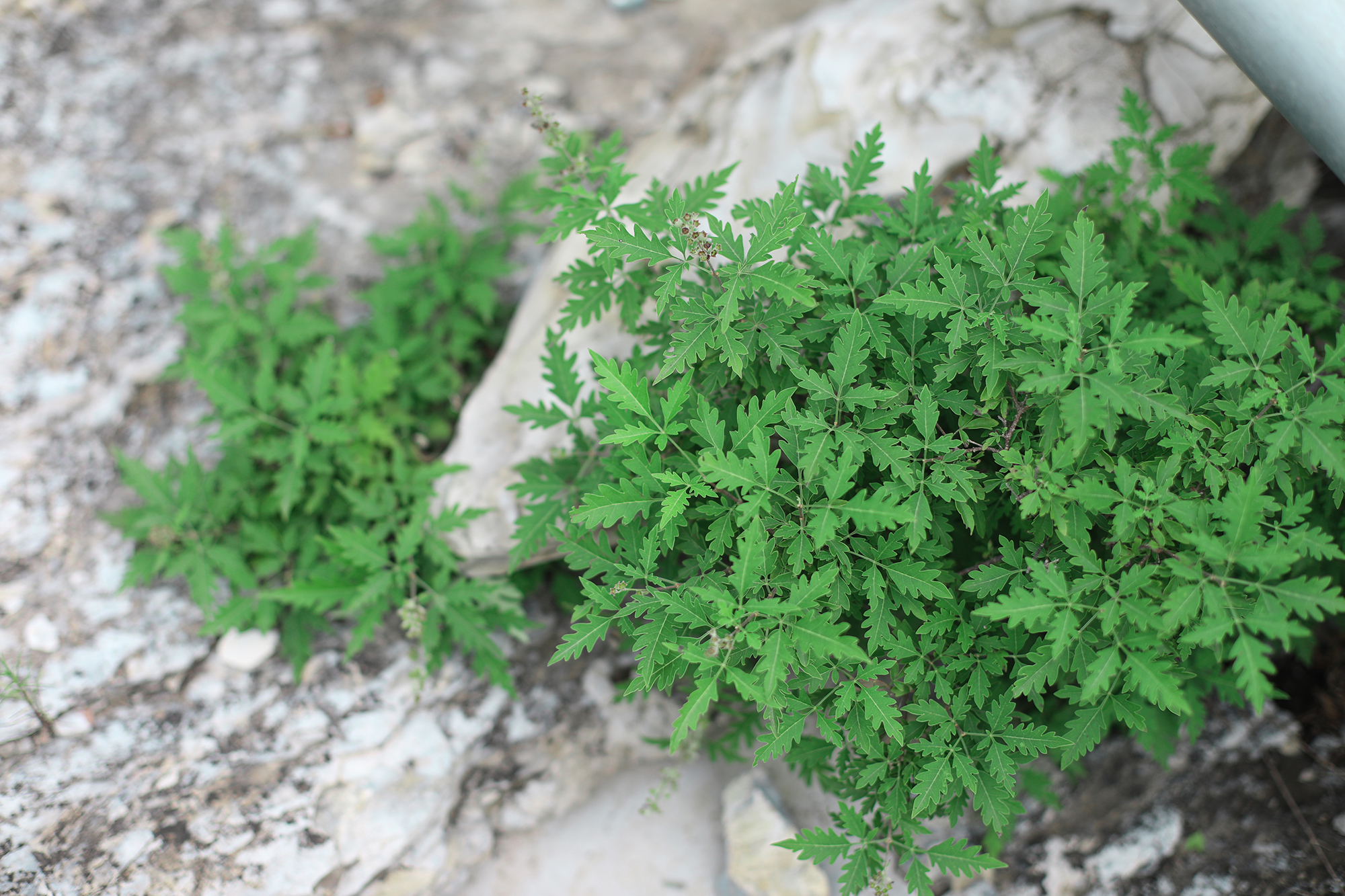 京郊房山登山路线,房山东港登山步道