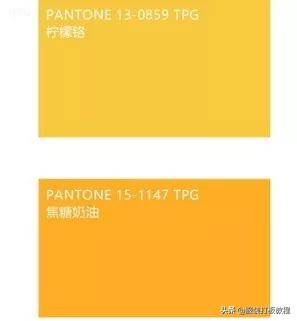 2021冬季服装流行趋势裤装,2021秋冬服装流行裤子