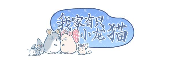 龙猫宫崎骏萌,龙猫漫画作品大全