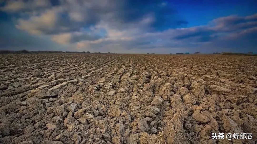 未来农村十大项目,农村最新项目商机