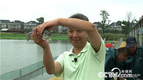 张高立：会跑步的鱼让他一年卖了6000万