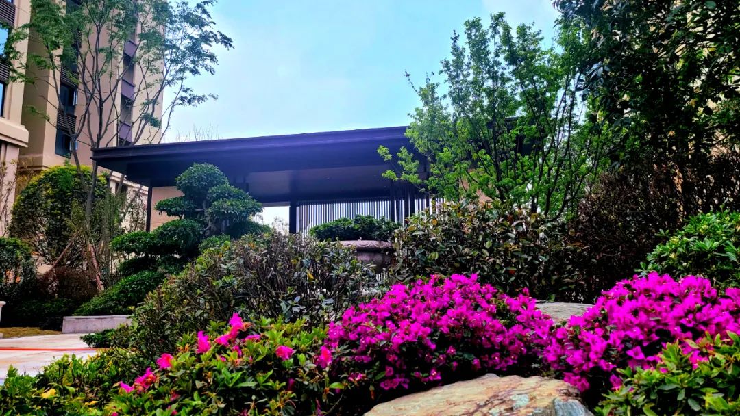 四月芳菲醉喜迎学子归,新鸥鹏教育小镇哈佛公馆游玩