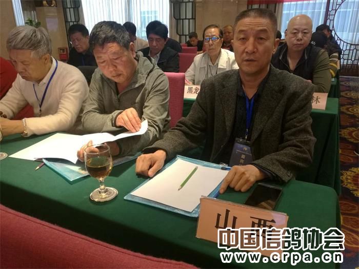 中国信鸽协会各地鸽会,惠州市信鸽协会电话