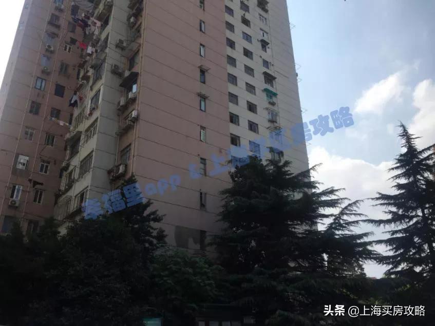 上海杨浦二师附小小学生家长,上海杨浦二梯队小学怎么样