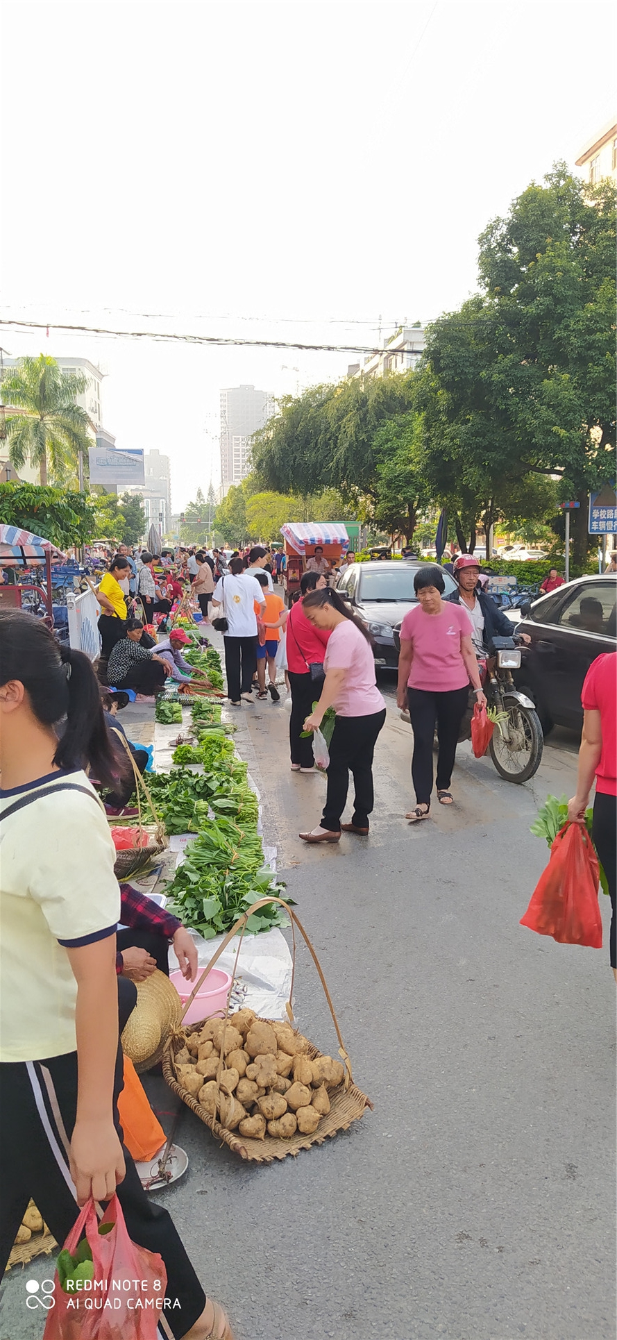 韶关新丰县城有发展空间吗,韶关新丰区发展