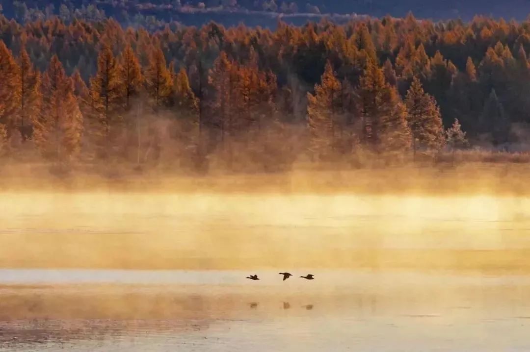 蕅益大师偈颂,蕅益大师讲楞严咒