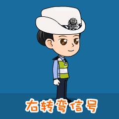 交警交通手势视频,交警手势与道路标线