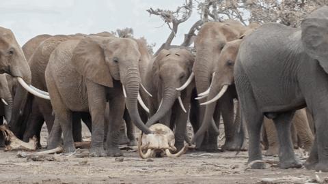 他们被杀之后，依然在爱你