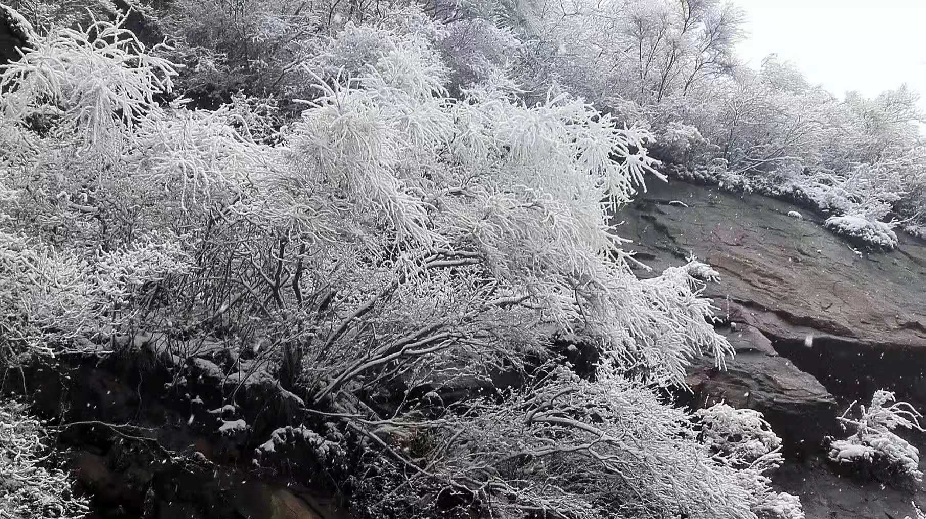 平谷湖洞水自然风景区自驾路线,2022年4月平谷最美自驾路线